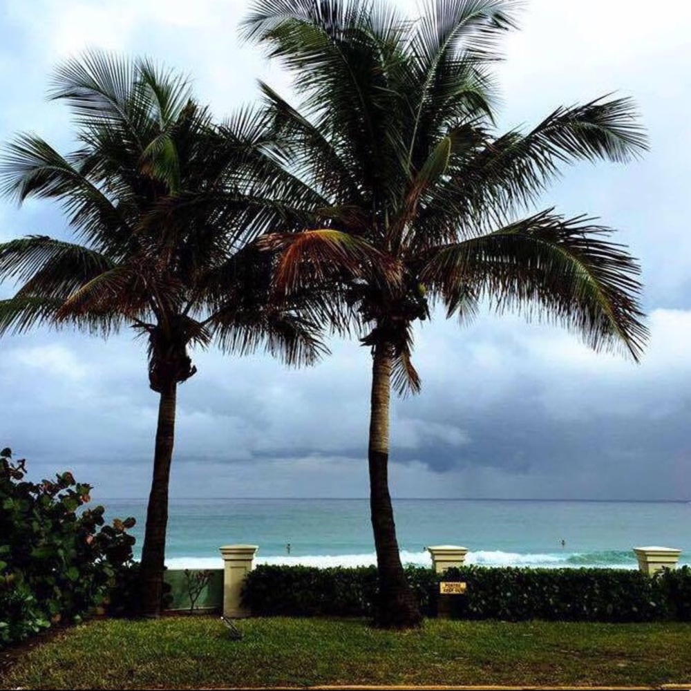 ⚜️ Hello Poshers! 👯‍♀️ - Picture 2 of 2